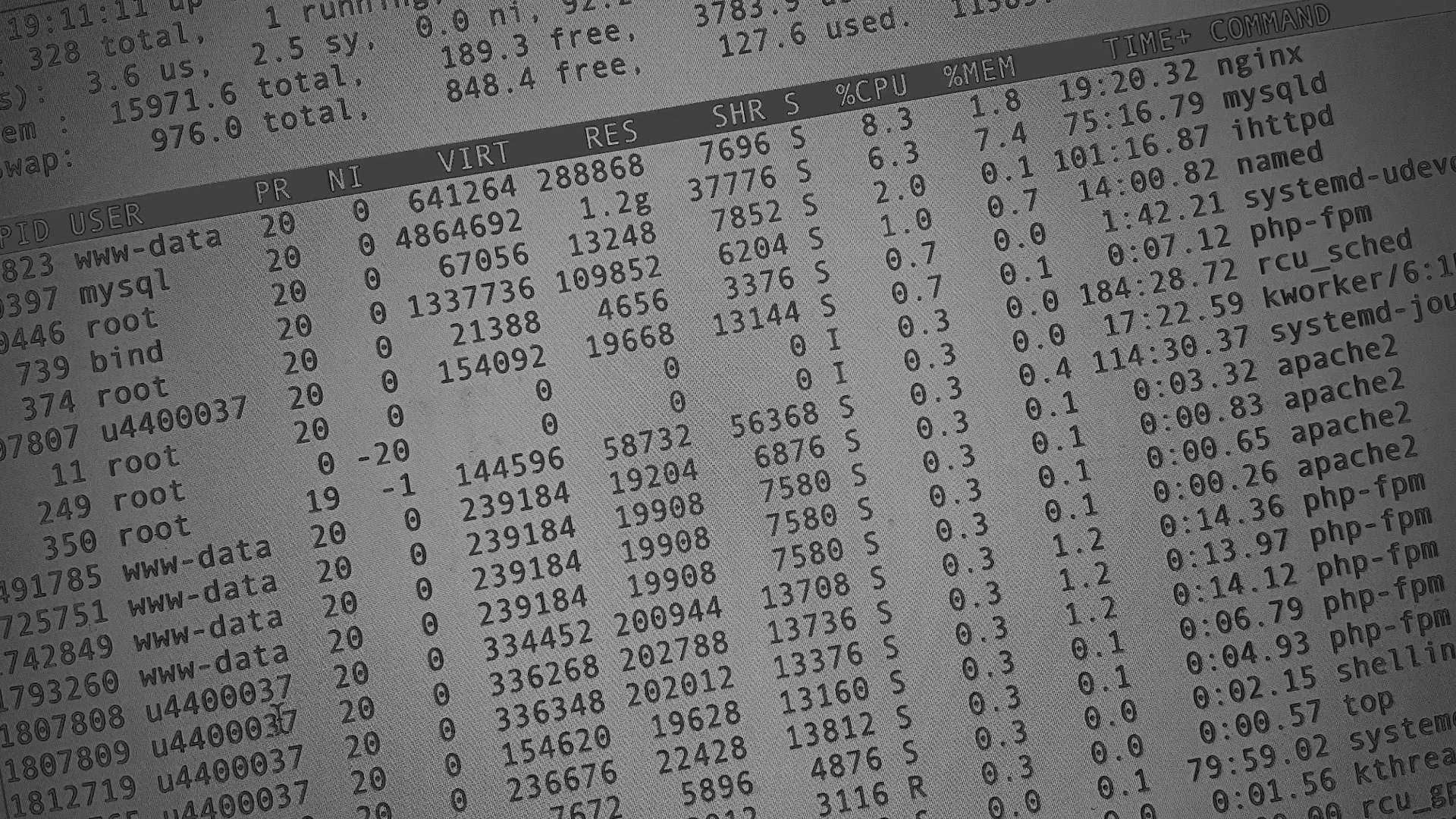 Настройка сервера в Черногорске